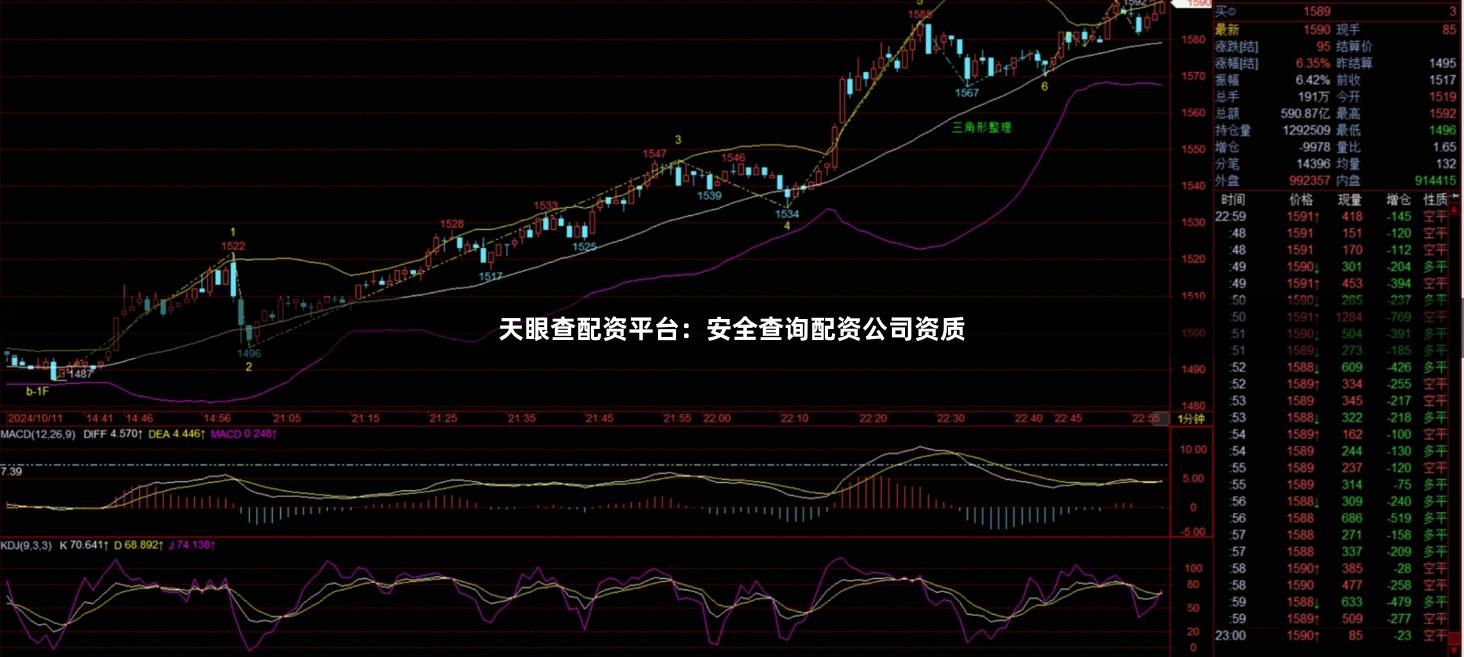 天眼查配资平台：安全查询配资公司资质